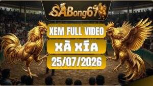 SABONG - Xà Xía