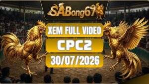 Video Đá Gà CPC2 – Tổng Hợp 30/07/2026 Tại SABONG67
