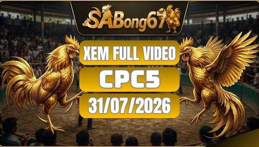 Video Đá Gà CPC5 – Tổng Hợp 31/07/2026 Tại SABONG67