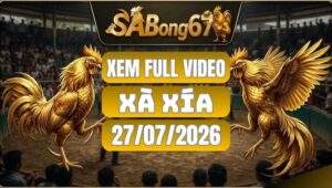Video Đá Gà Xà Xía – Tổng Hợp 27/07/2026 Tại SABONG67