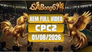 SABONG C2