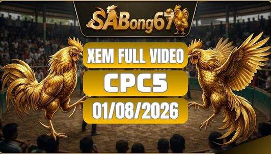 Xem Full Video Đá Gà CPC5 Ngày 1/8/2026 tại SABONG67