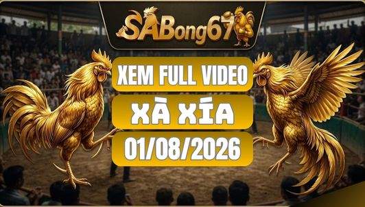 Xem Full Video Đá Gà Xà Xía Ngày 1/8/2026 tại SABONG67